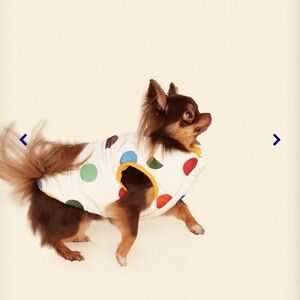 Little Beast Polka Dot Dog Jacket - Multicolor